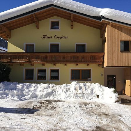 Appartement - Vollholz Studio Im Zentrum Von Flachau Exterior photo